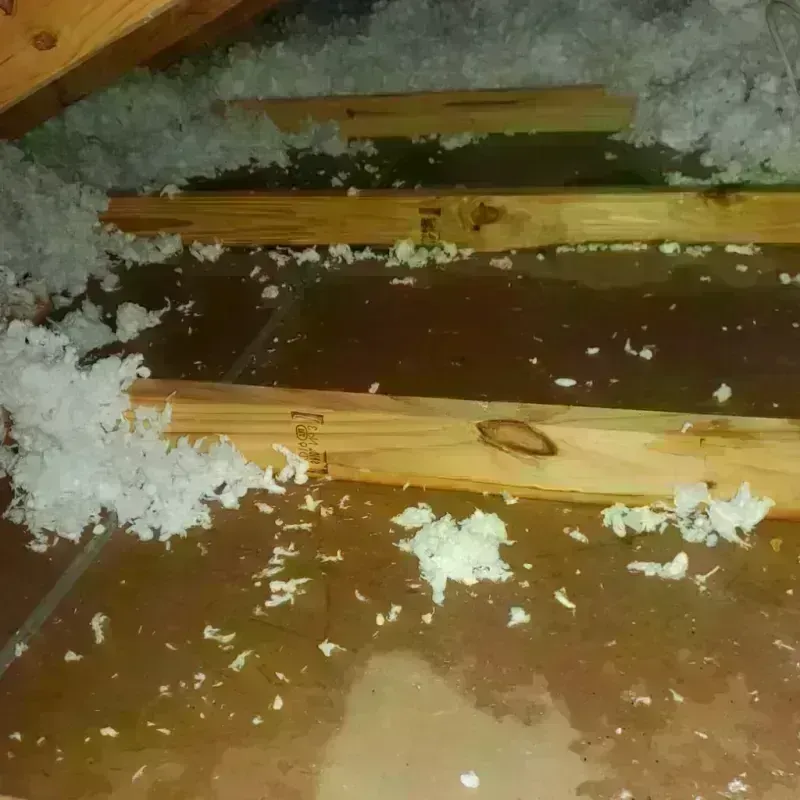 Attic Water Damage in Lafayette, LA