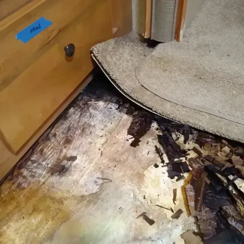 Wood Floor Water Damage in Lafayette, LA